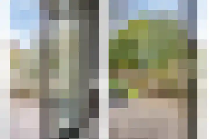 A S Talmaplein 29 Franeker thumbnail 28