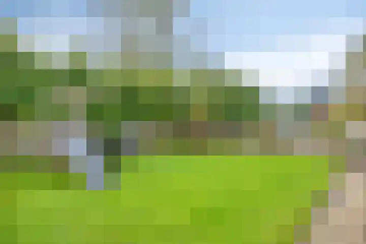 A S Talmaplein 29 Franeker thumbnail 30