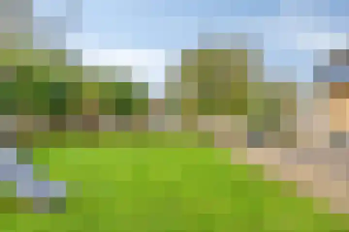 A S Talmaplein 29 Franeker thumbnail 32