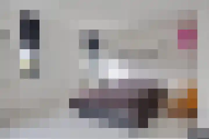 A S Talmaplein 29 Franeker thumbnail 38