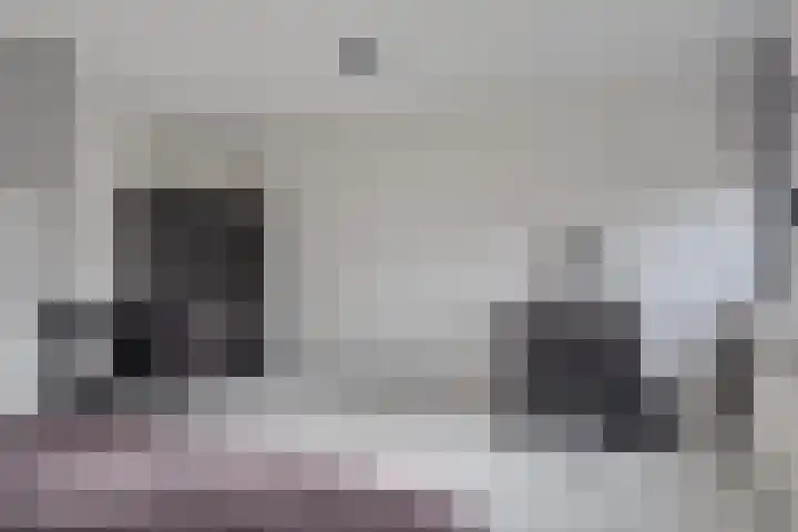 A S Talmaplein 29 Franeker thumbnail 39