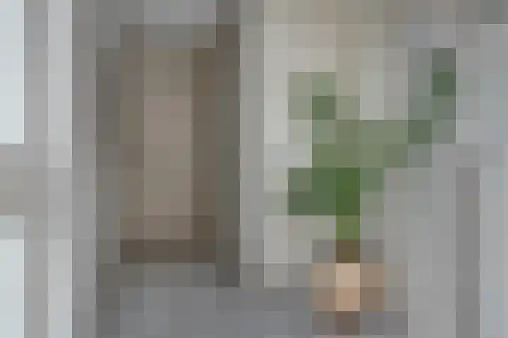 A S Talmaplein 41 Franeker thumbnail 17