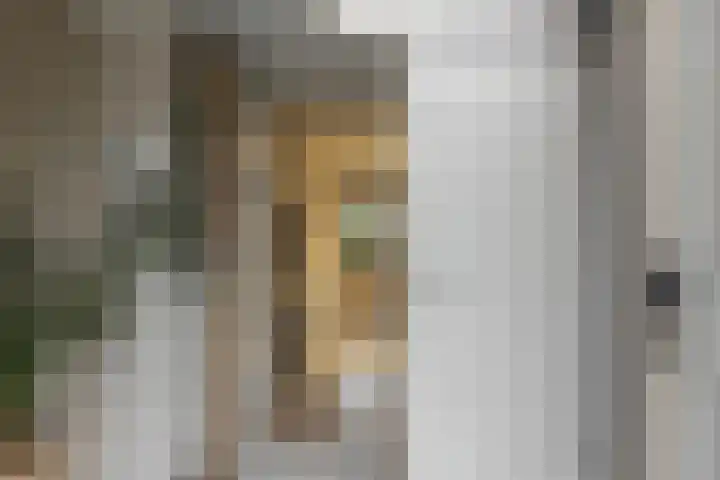 A S Talmaplein 41 Franeker thumbnail 20