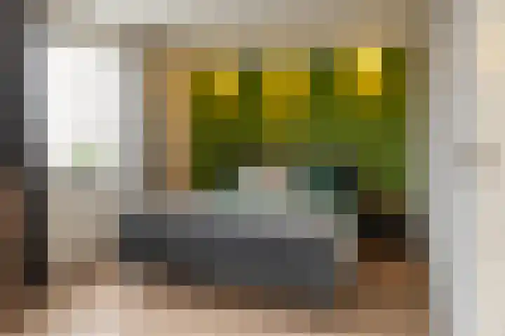 A S Talmaplein 41 Franeker thumbnail 22