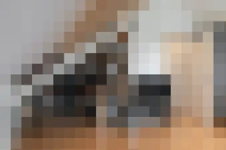 A S Talmaplein 41 Franeker thumbnail 30