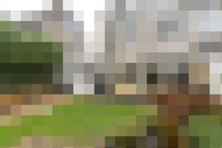 A S Talmaplein 41 Franeker thumbnail 31