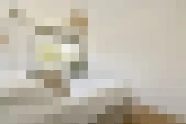 A S Talmaplein 41 Franeker thumbnail 36