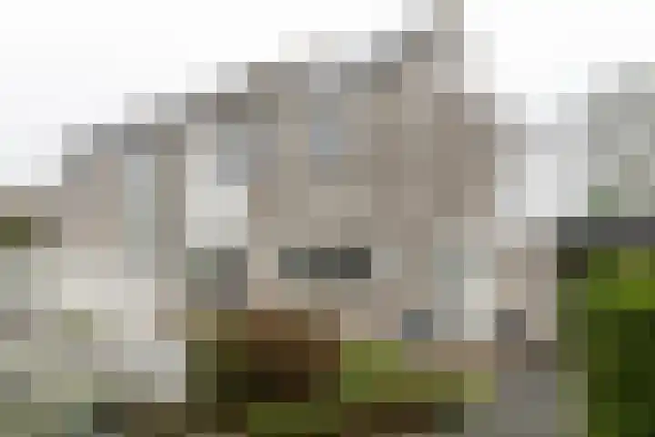 A S Talmaplein 41 Franeker thumbnail 36