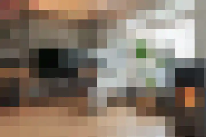 A S Talmaplein 41 Franeker thumbnail 7