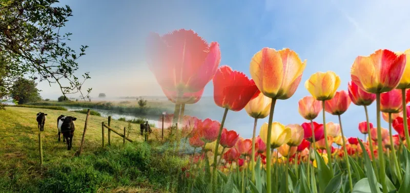 Bürofoto von A75 Makelaardij