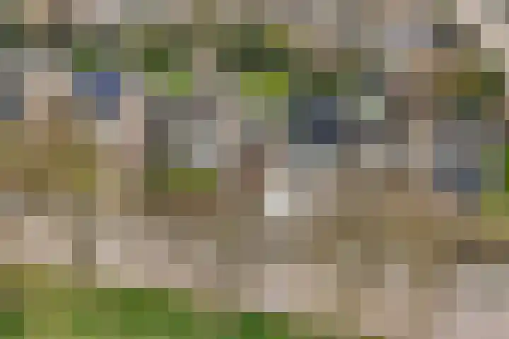 Aadorpsweg 21 Wierden thumbnail 44