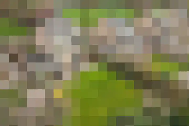 Aadorpsweg 21 Wierden thumbnail 45