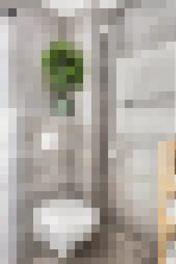 Aak 11 Wieringerwerf thumbnail 31