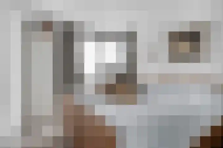 Aak 12 Heerenveen thumbnail 17