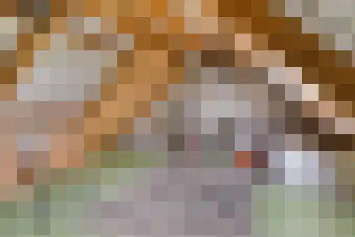 Aak 12 Heerenveen thumbnail 28