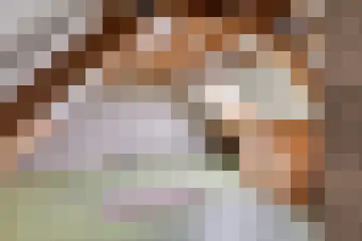 Aak 12 Heerenveen thumbnail 30