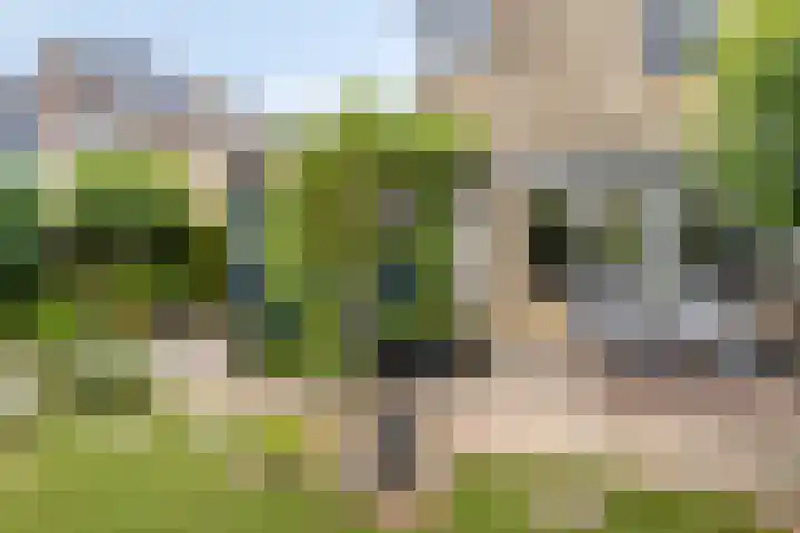 Aak 12 Heerenveen thumbnail 35