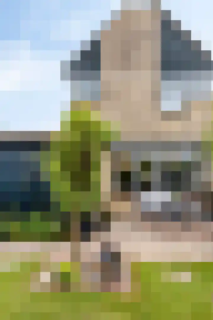 Aak 12 Heerenveen thumbnail 36