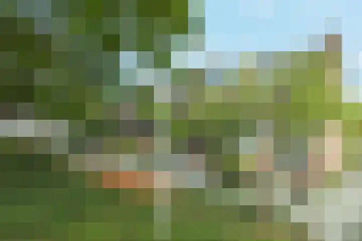Aak 18 Barendrecht thumbnail 6