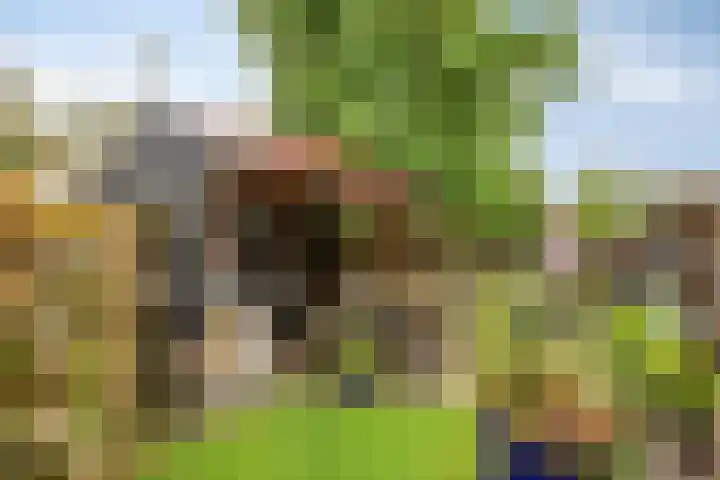 Aak 4 Wieringerwerf foto 2