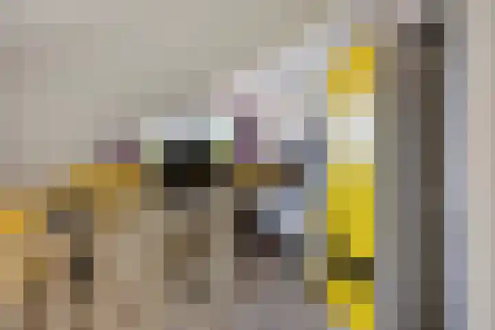 Aak 4 Wieringerwerf thumbnail 33