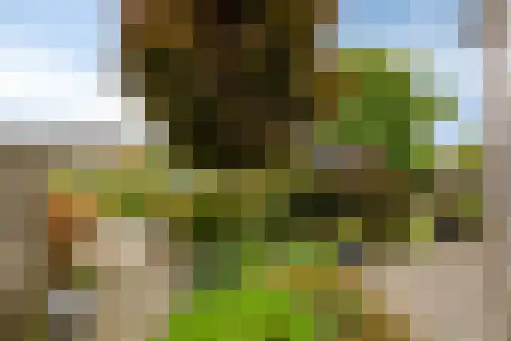 Aak 4 Wieringerwerf thumbnail 35