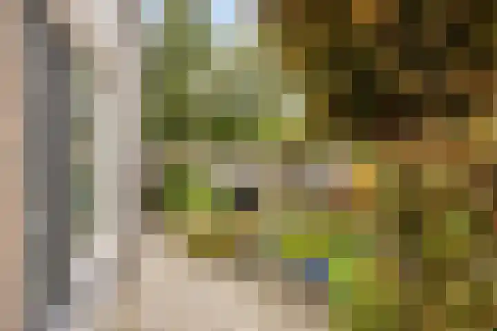 Aak 4 Wieringerwerf thumbnail 36