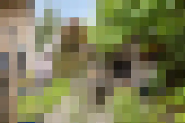 Aak 4 Wieringerwerf thumbnail 37