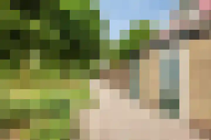Aak 4 Wieringerwerf thumbnail 42