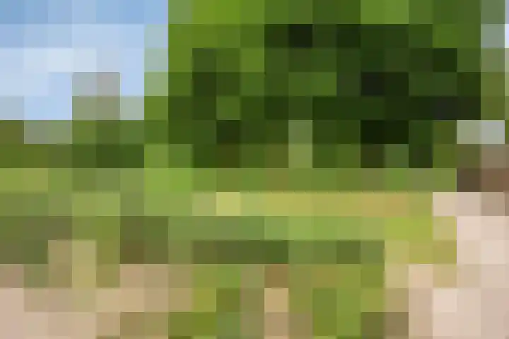 Aak 4 Wieringerwerf thumbnail 43