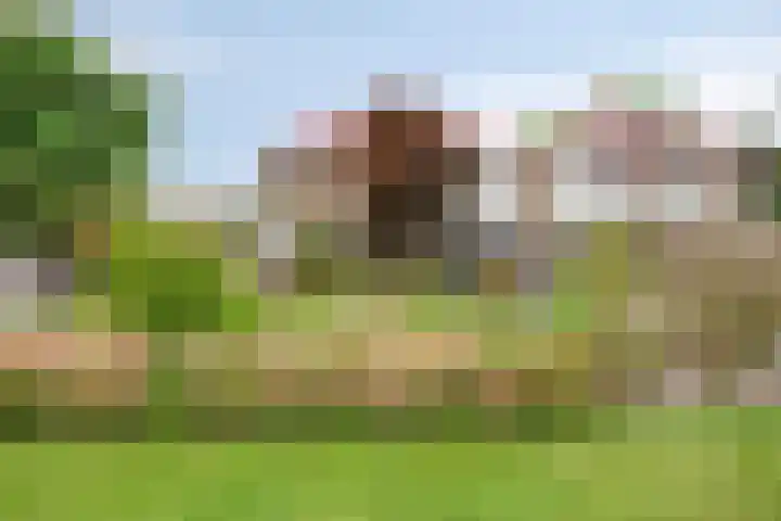 Aak 4 Wieringerwerf thumbnail 51