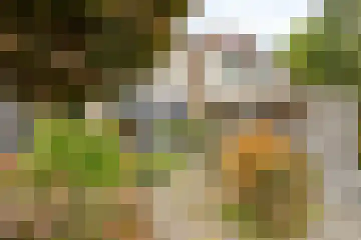 Aak 4 Wieringerwerf thumbnail 7