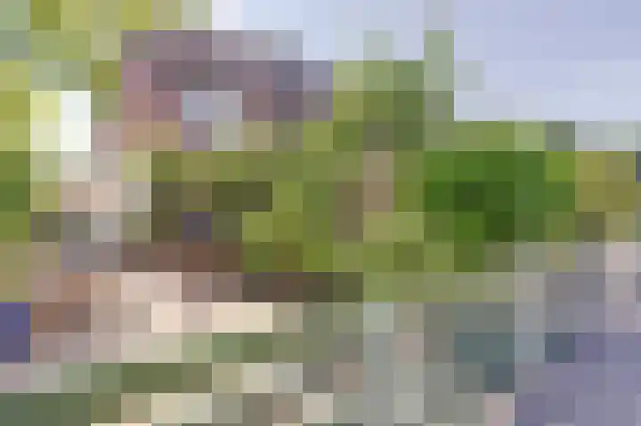 Aak 45 in Wieringerwerf