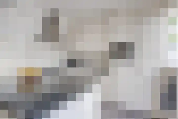 Aak 45 Oude Wetering thumbnail 10