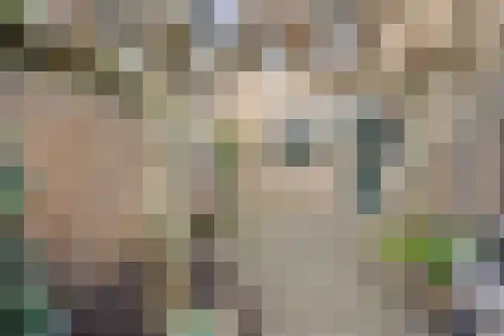 Aak 45 Oude Wetering thumbnail 20