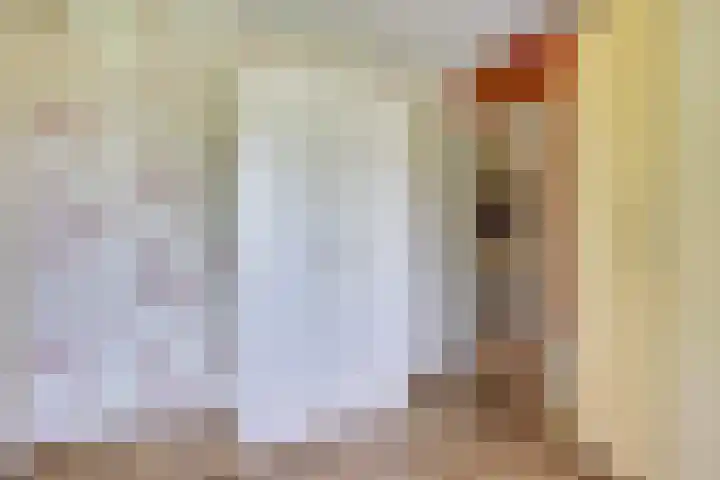 Aak 45 Wieringerwerf thumbnail 23