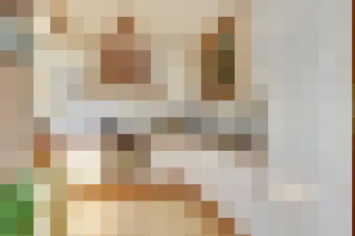Aak 45 Wieringerwerf foto 3
