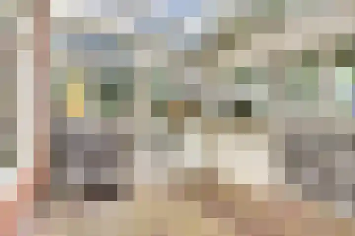 Aak 45 Wieringerwerf thumbnail 33