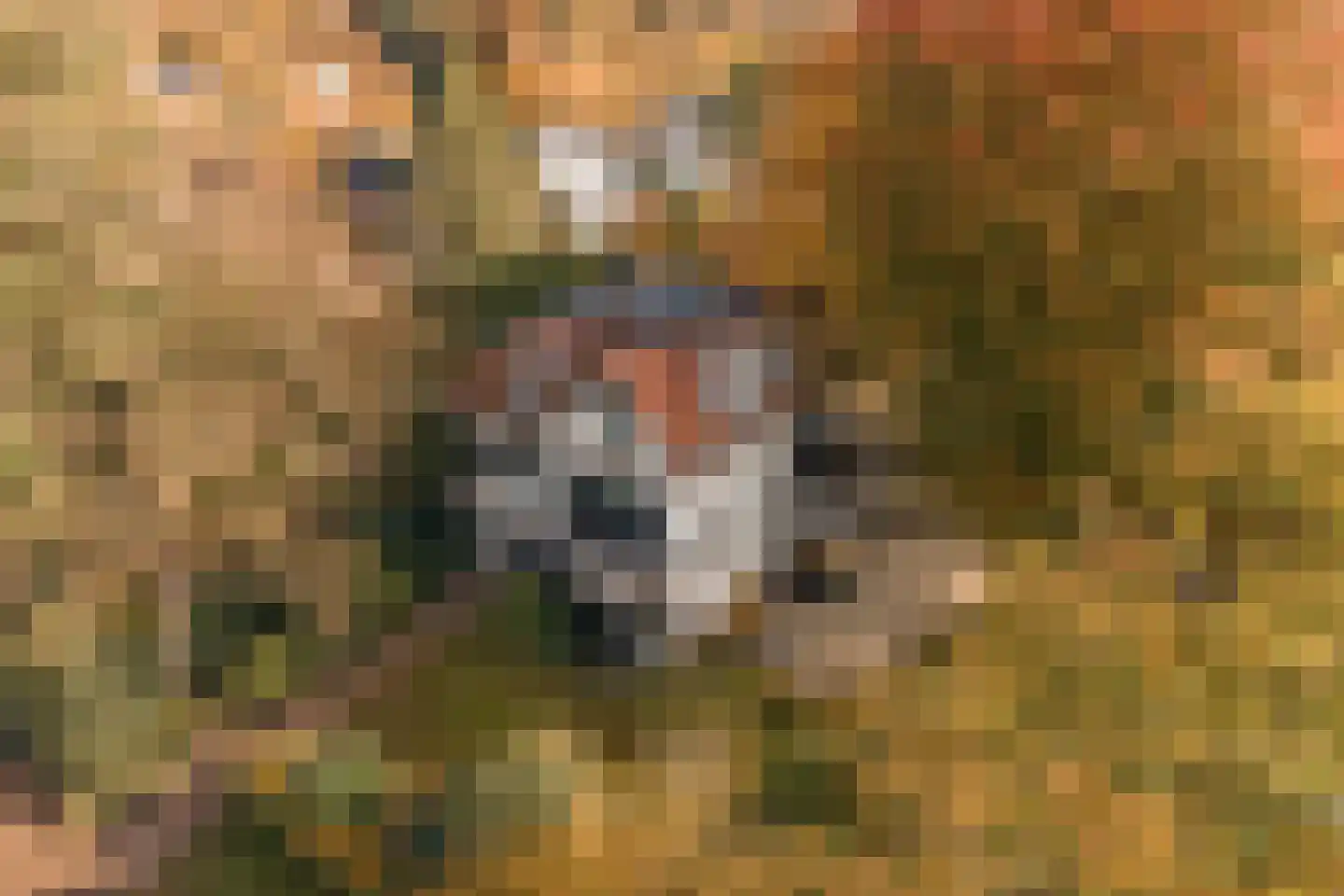 Aak 45 Wieringerwerf thumbnail 34