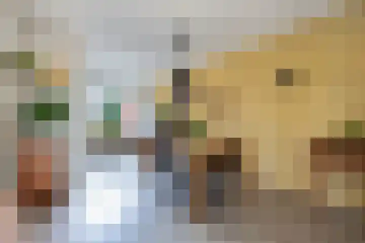 Aak 45 Wieringerwerf thumbnail 39