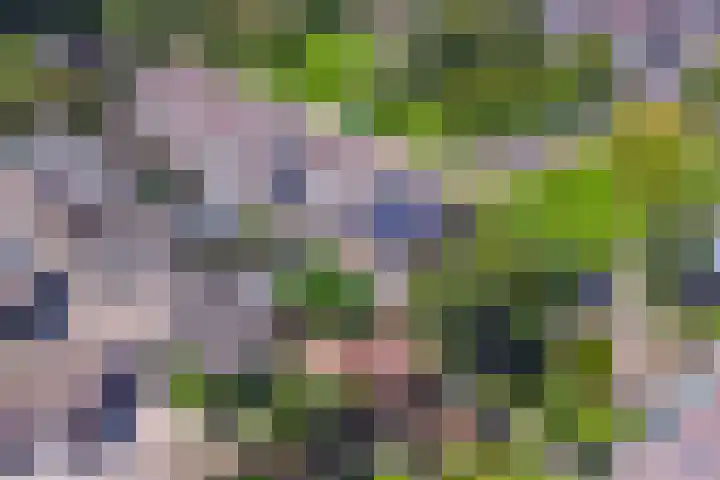 Aak 45 Wieringerwerf thumbnail 47