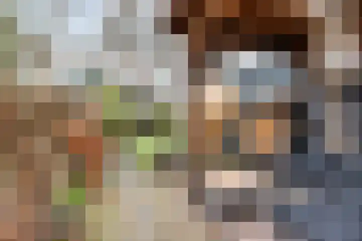 Aak 45 Wieringerwerf thumbnail 50