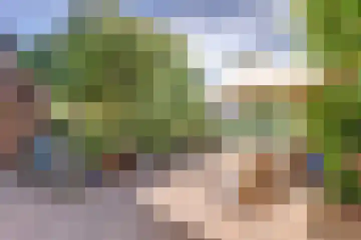 Aak 45 Wieringerwerf thumbnail 6