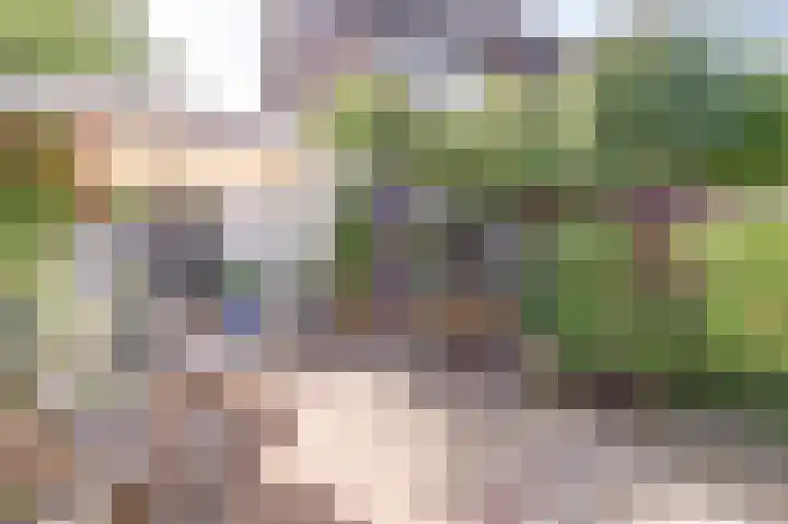 Aak 45 Wieringerwerf thumbnail 7