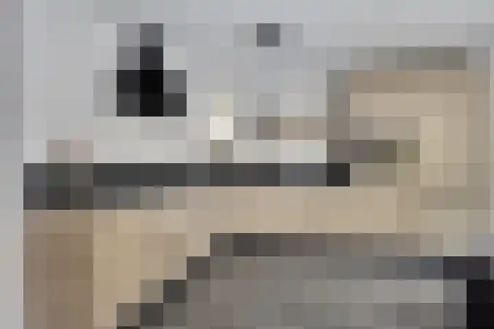 Aak 5 Gorredijk thumbnail 10