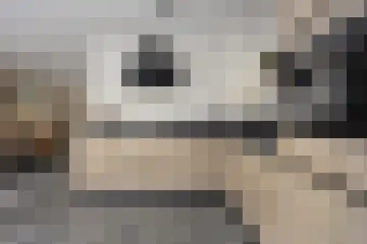 Aak 5 Gorredijk thumbnail 12