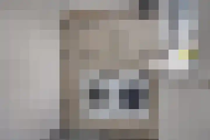 Aak 5 Gorredijk thumbnail 13