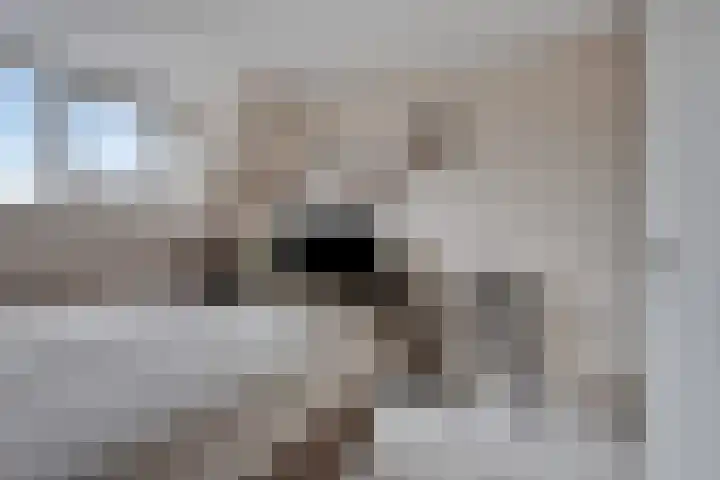 Aak 5 Gorredijk thumbnail 19