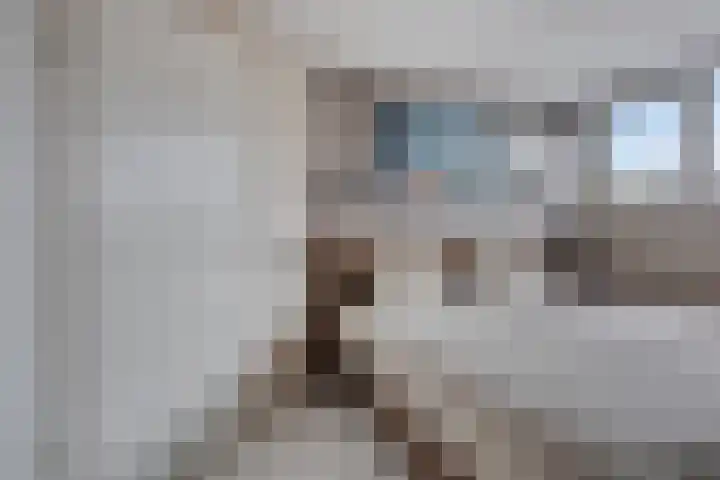 Aak 5 Gorredijk thumbnail 20