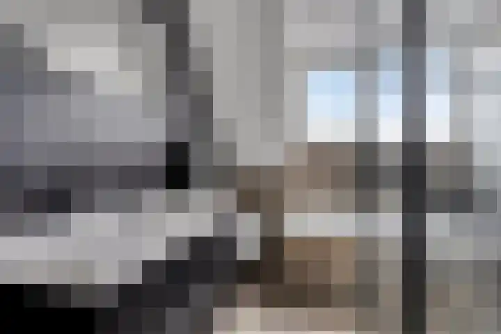 Aak 5 Gorredijk thumbnail 22